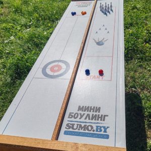 Аттракцион "Настольный Керлинг и Боулинг"