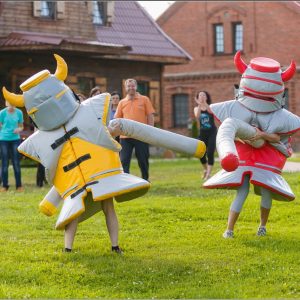 Аттракцион "Рыцарские бои"