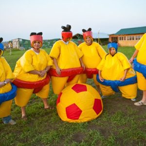 Аттракцион "Cумобол"