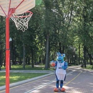 Аттракцион "Баскетбольное кольцо"