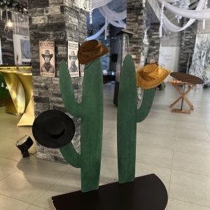 Аттракцион "Деревянный Кактус-кольцеброс"