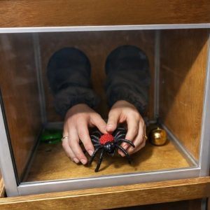 Аттракцион "Что я нащупал"