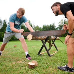 Аттракцион "Пила дружба"